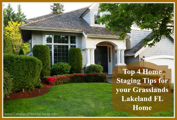 Give your Grasslands Lakeland FL home a vibrant look, here are great tips for you!